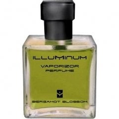 Similar perfume 11994